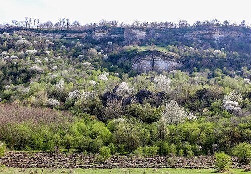 Poiana–Curătura