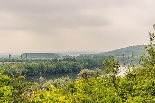Telița landscape reserve