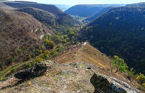 Țipova landscape reserve