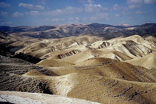 Judaean Desert