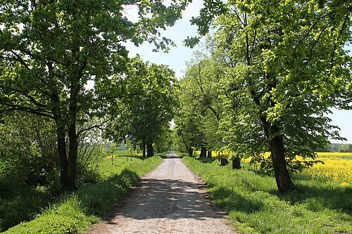 Natural Monument Šilheřovice