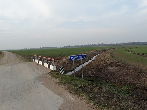 Maučiuvis