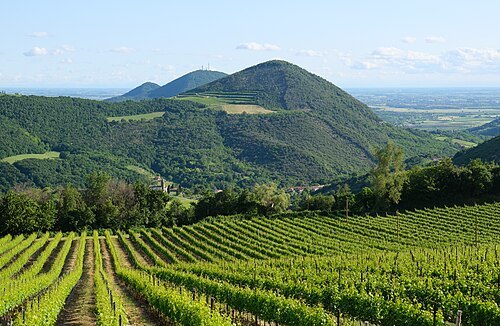 Parco Regionale dei Colli Euganei