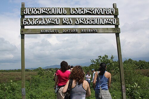 Kobuleti Strict Nature Reserve