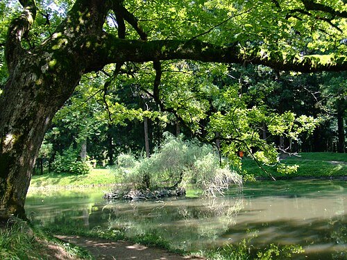 ズグディディ植物園