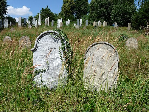Jewish cemetery in Zbraslavice