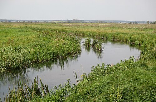 Žyžma River