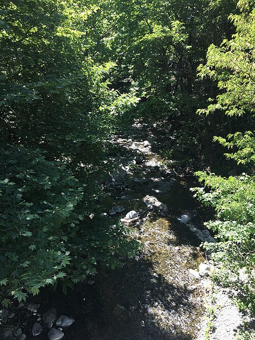 Petrovo River