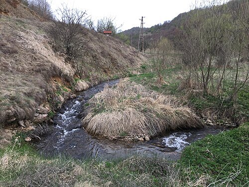 Ogut River