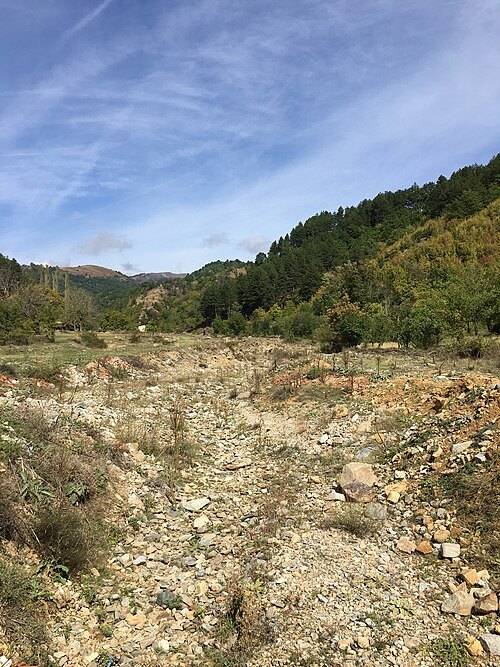 Selska River