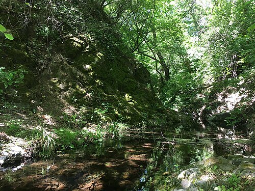 Gabrovo River