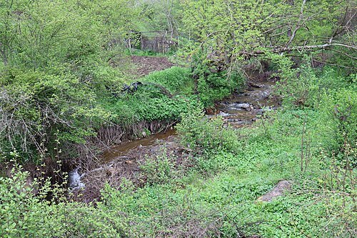 Štalkovica River
