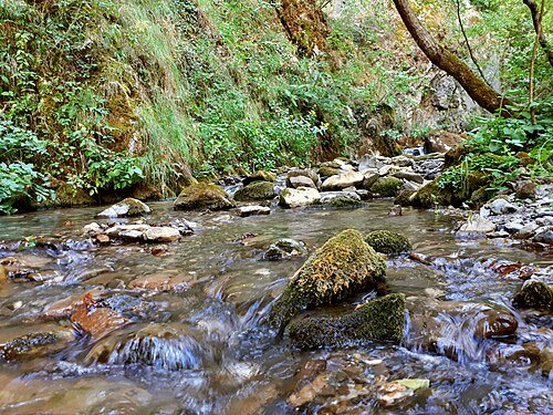 Rostuše River