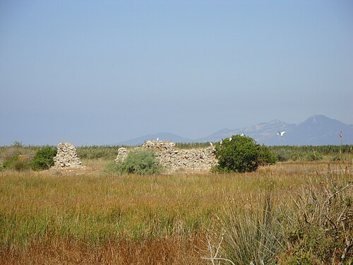 Ambracus