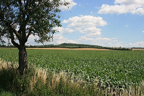 Pracký kopec