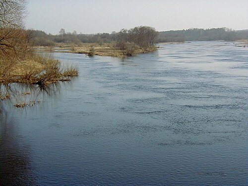 Aiviekstes paliene