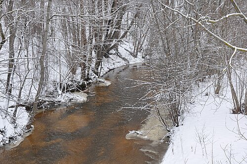 Aviekste River