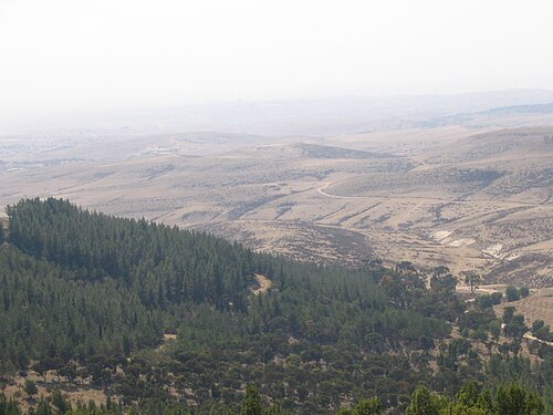 Bosque de Yatir