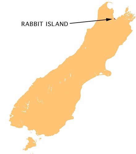 Moturoa / Rabbit Island