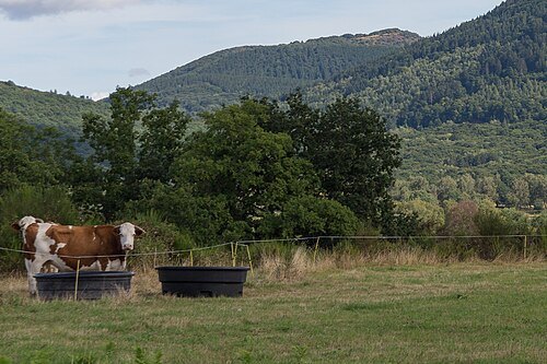 Puy de Jume
