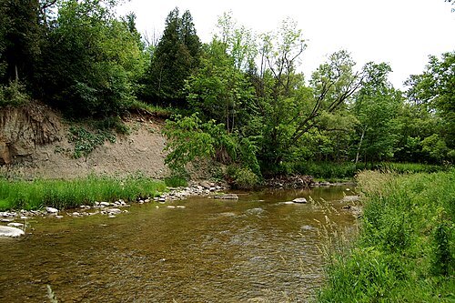 Rouge River