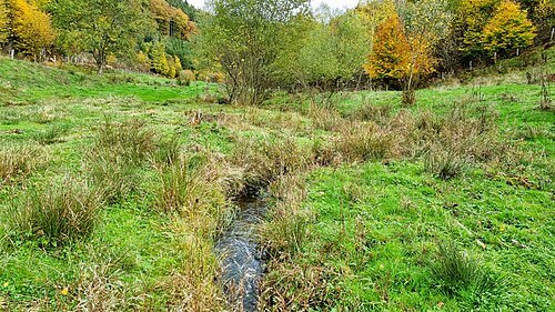 Schiebach (Schibech)