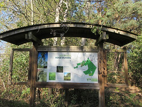 Hoge Vijvers Bos