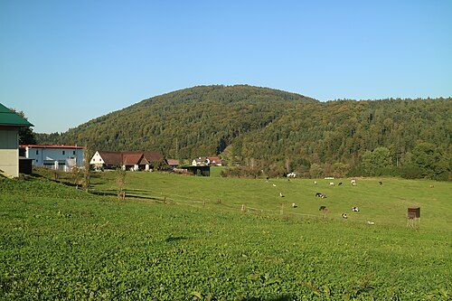 Buchkogel