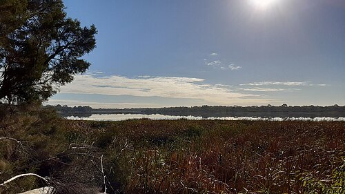 Bibra Lake