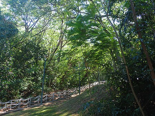 Damoe-Ra Park