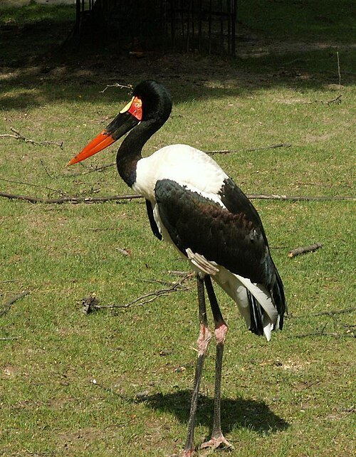 Krakow Zoo