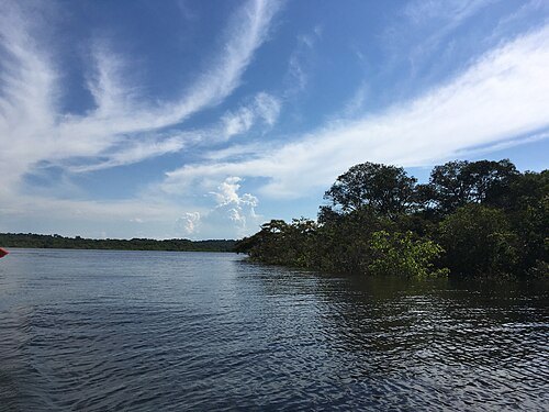 Tarumã Mirim River