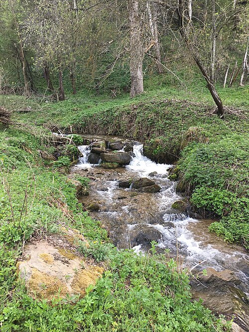 Kozja River