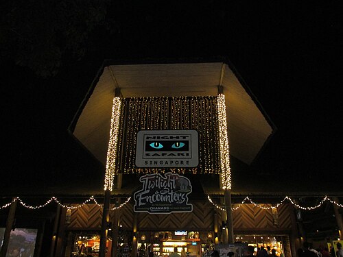 Night Safari