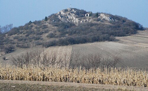 Schweinbarther Berg