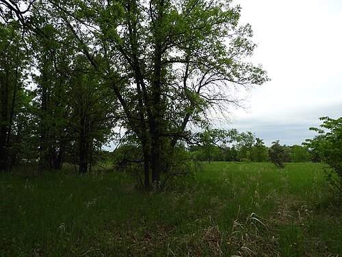 Hyland Provincial Park