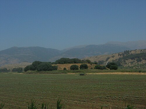 Tel Anafa