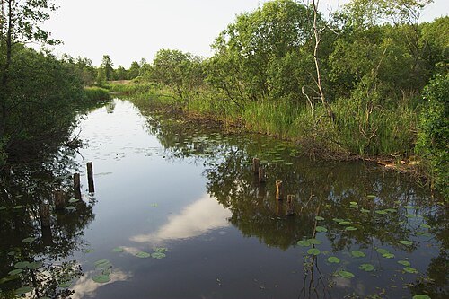 Soodla River