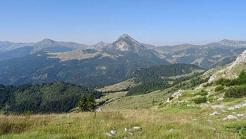 Marijash