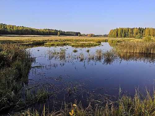Sääminginsalo