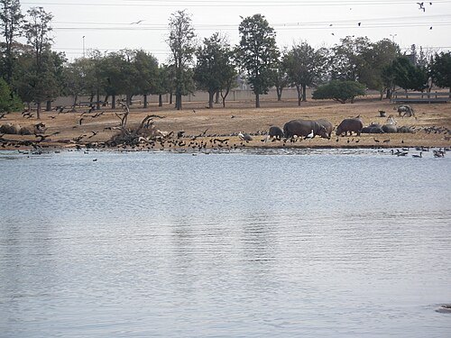 Ramat Gan Safari