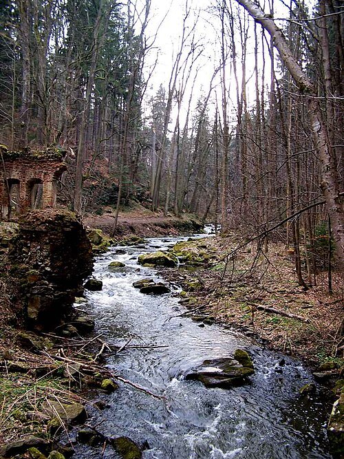 Stropnice