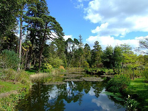Fota Island
