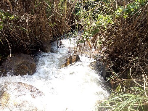 Santchou faunal reserve