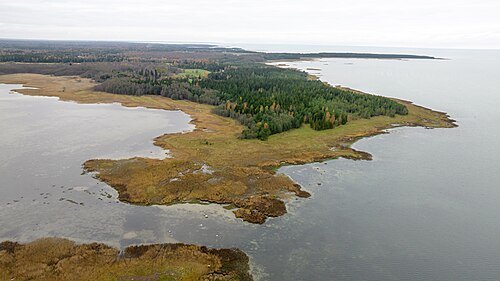 Tähva cape