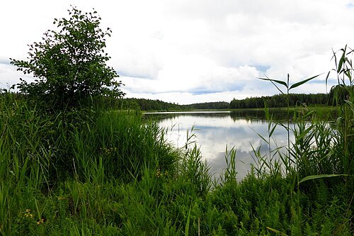 Lake Mudsina
