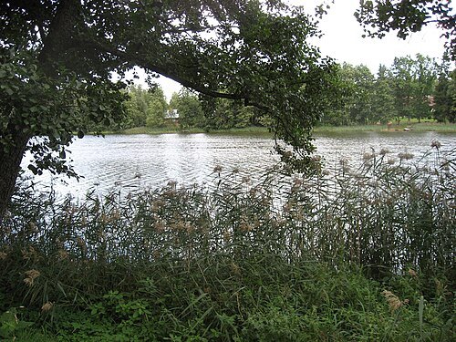 Pikkjärv