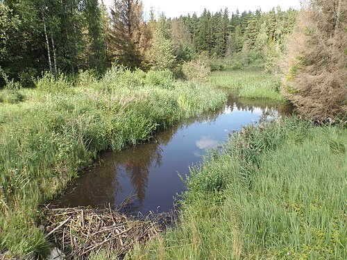 Kuura River