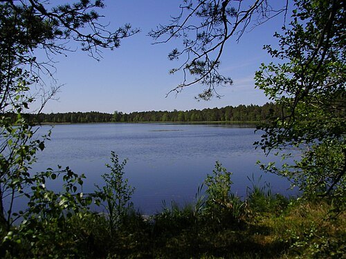 Männikjärv