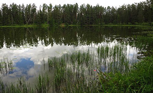 Linajärv